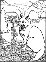 coloriage chat dans le jardin